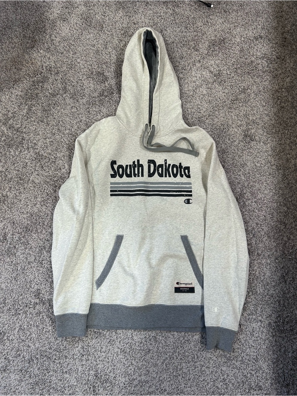 Champion South Dakota Hoodie